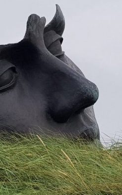 Beelden aan Zee